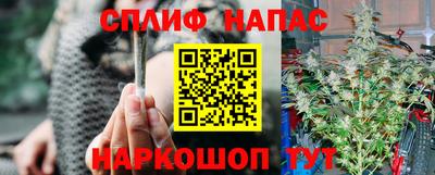 СК Абинск